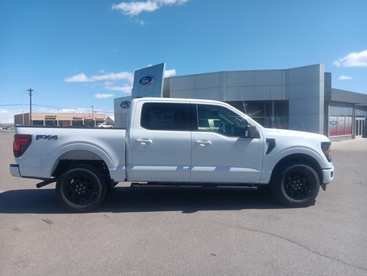2024 Ford F-150 XLT in Powell, WY - Fremont Motor Powell