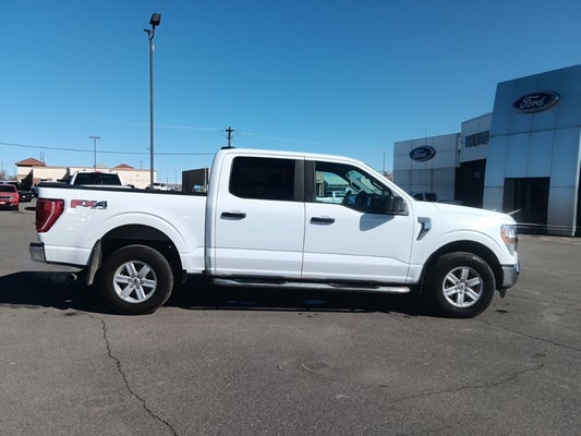 2021 Ford F-150 XLT in Powell, WY - Fremont Motor Powell