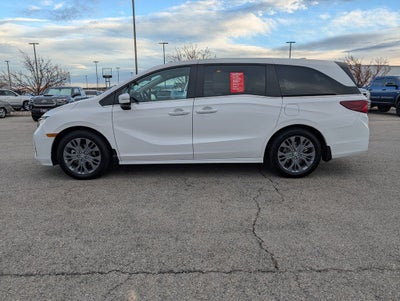 2025 Honda Odyssey Touring
