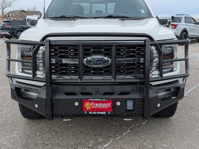 2022 Ford F-150 Platinum