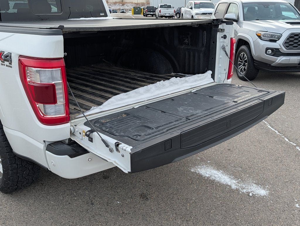 2022 Ford F-150 Platinum