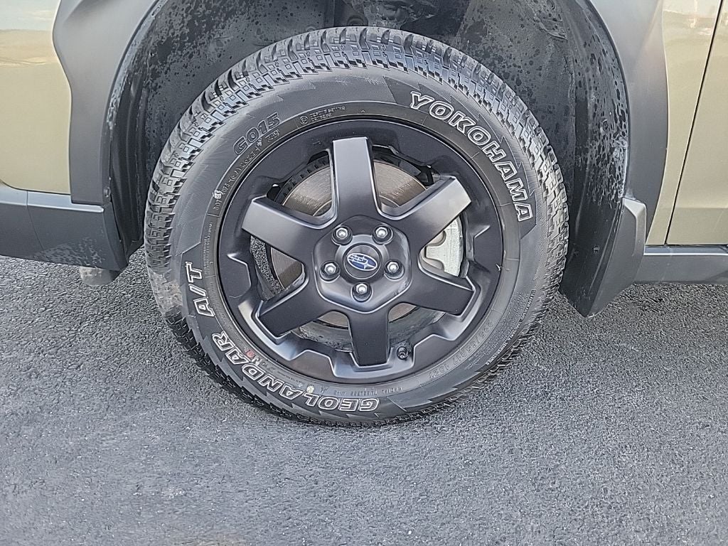 2024 Subaru Outback Wilderness