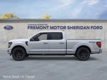 2026 Ford F-150 XLT Black Appearance