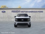 2026 Ford F-150 XLT Black Appearance