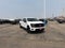 2026 Ford F-150 XLT Black Appearance Pkg.
