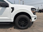2026 Ford F-150 XLT Black Appearance Pkg.