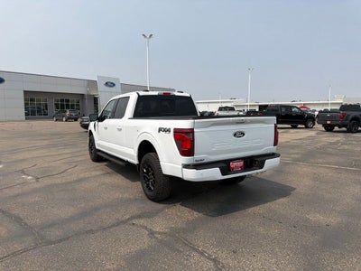 2026 Ford F-150 XLT Black Appearance Pkg.
