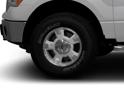 2010 Ford F-150 SVT Raptor