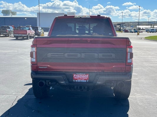 2023 Ford F-150 Raptor in Powell, WY - Fremont Motor Powell