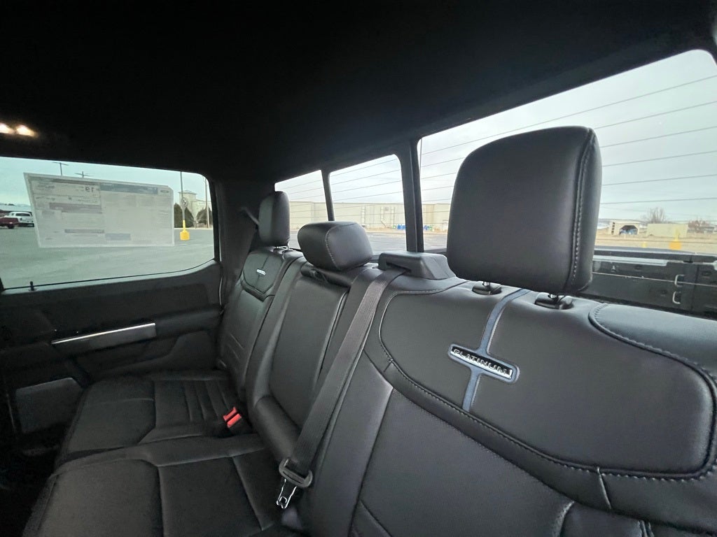 2025 Ford F-150 Platinum