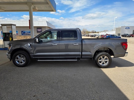2024 Ford F-150 XLT in Powell, WY - Fremont Motor Powell