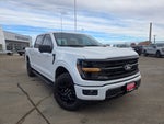 2025 Ford F-150 XLT Black Appearance Package