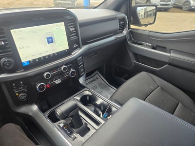 2025 Ford F-150 XLT Black Appearance Package