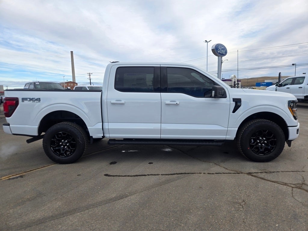 2025 Ford F-150 XLT Black Appearance Package