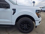 2025 Ford F-150 XLT Black Appearance Package