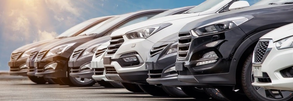 Used Car Dealer Powell WY